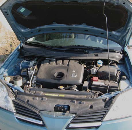 Nissan douglas cork