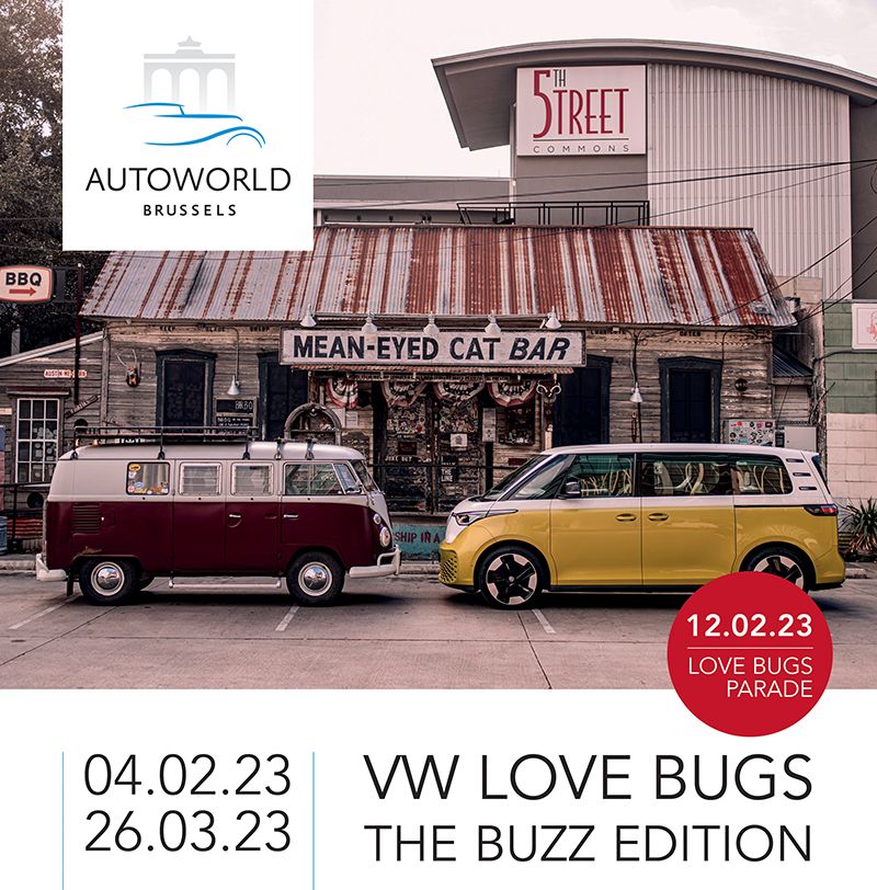 affiche deVW Love Bugs - The Buzz Edition