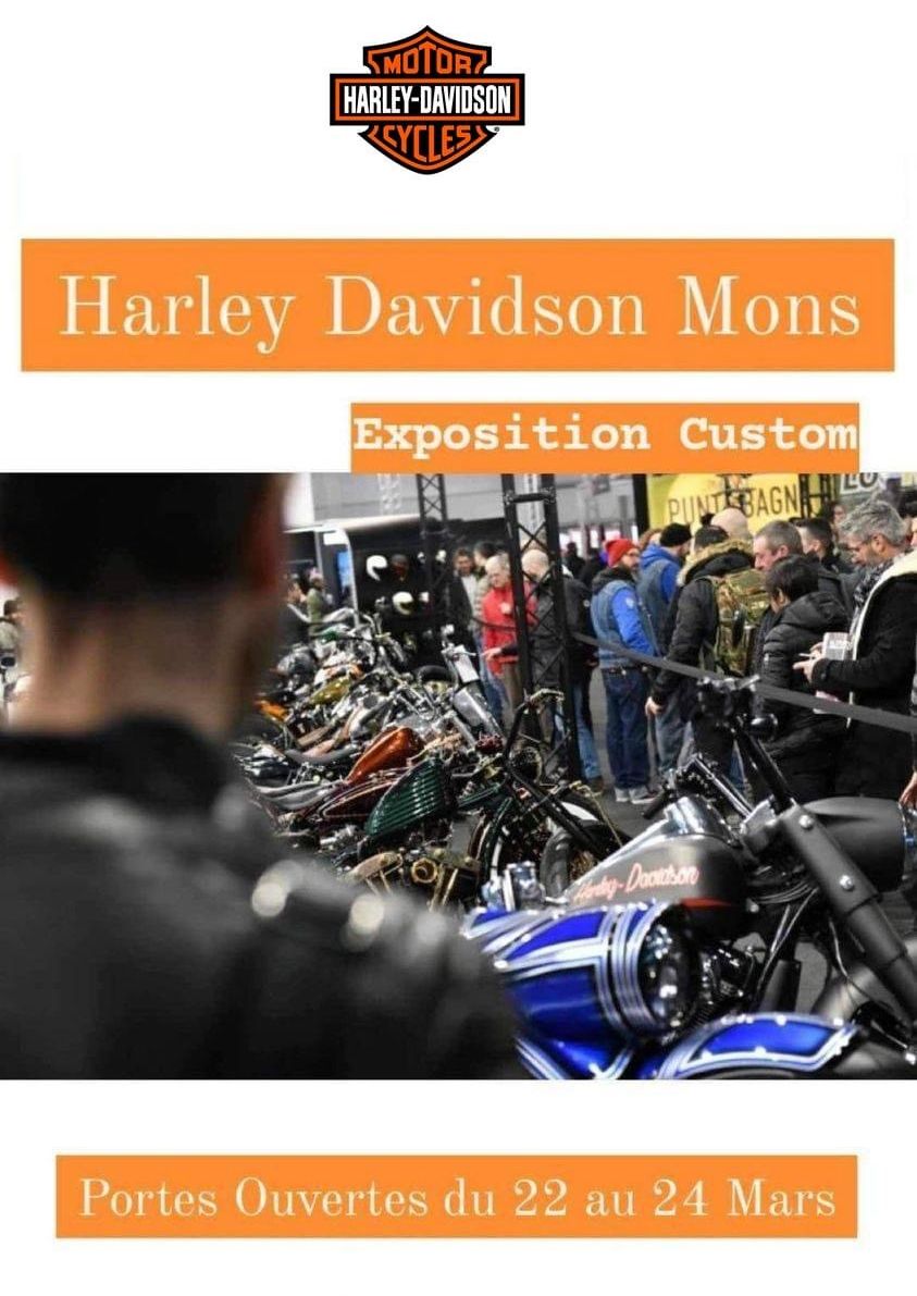 affiche deHarley Davidson Custom